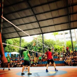 Vôlei